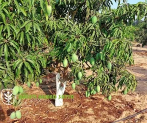 اسعار الزرع في المشاتل 