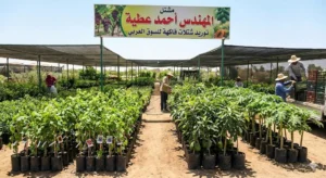 طريقة تسميد الشتلات الصغيرة