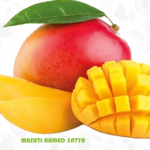 شتلة مانجو عويس مصري