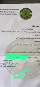 شروط تصدير شتلات الزيتون للأردن