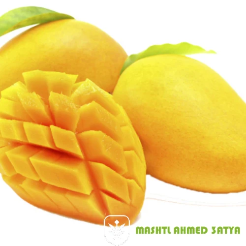 شتلة مانجو عويس مصري